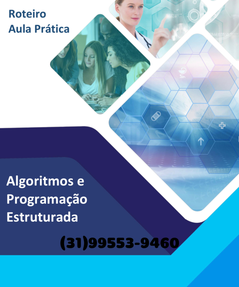 Aula Prática Algoritmos e Programação estruturada